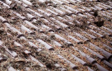 New Earswick roof cleaning companies